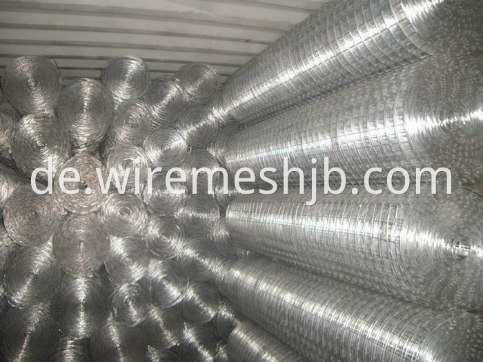 Galvanized Welded Wire